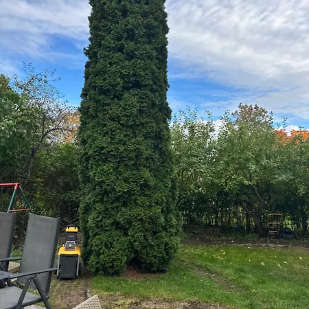 Small In Garden